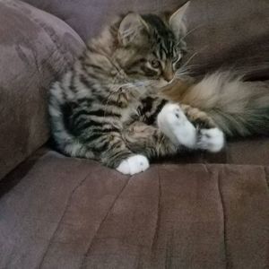 Meet your Posher, Michael